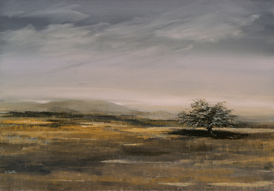 Huile sur Toile, 70x100 cm.